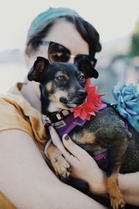 Portrait of dog holding camera at home