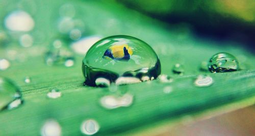 Digital composite image of fish in water drop on leaf