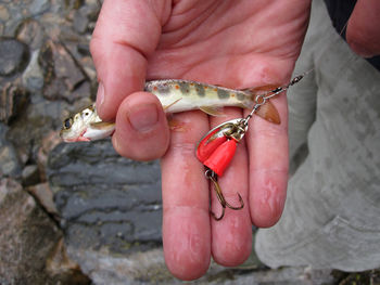 Close-up of person holding hands