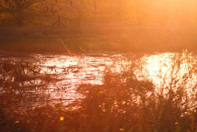 Full frame shot of illuminated water at sunset