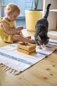 Cat sitting on floor at home