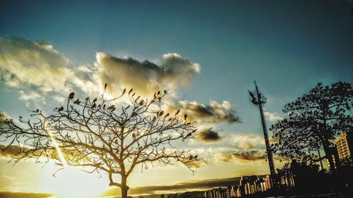 Low angle view of trees against cloudy sky