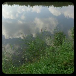 Scenic view of landscape against cloudy sky