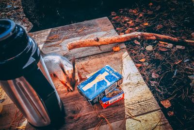 High angle view of various food on wooden table