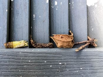 Close-up of wood