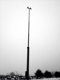 Low angle view of windmill