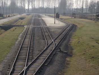 Railroad tracks amidst trees against sky