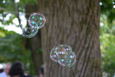 Close-up of bubbles