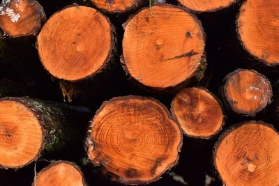 Full frame shot of logs