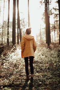 Rear view of man standing on riverbank in forest