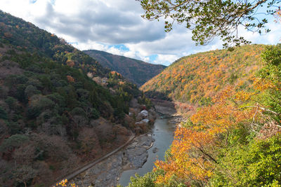 Scenic view of river amidst trees against sky