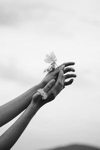 Cropped hand holding flowers against sky