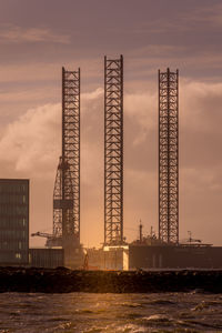 Cranes at sunset