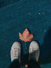 Low section of man standing on autumn leaves