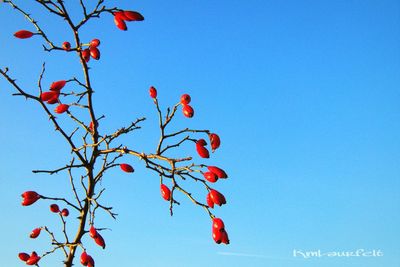 clear sky