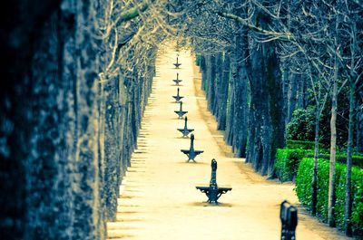 People walking on footpath in park