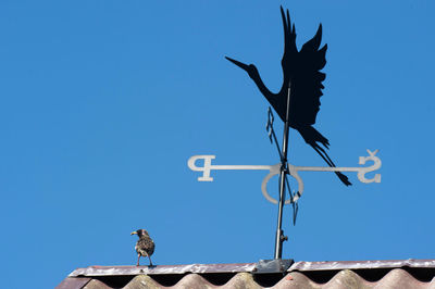 Low angle view of weather vane against clear blue sky