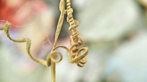 Close-up of ropes tied on rope