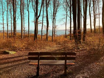 Empty bench on field during autumn