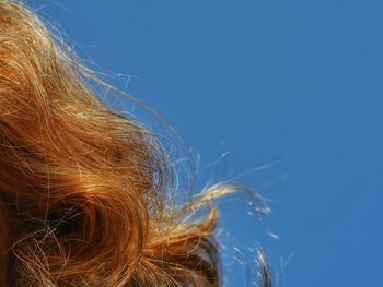 Cropped image of woman with brown hair against clear blue sky