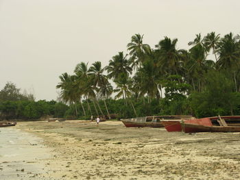 Scenic view of beach against clear sky