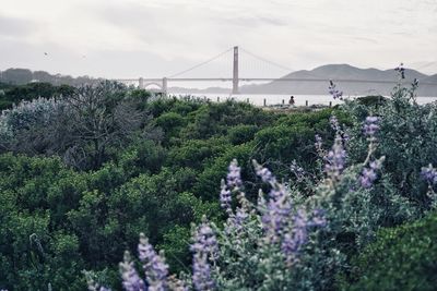 View of suspension bridge against sky