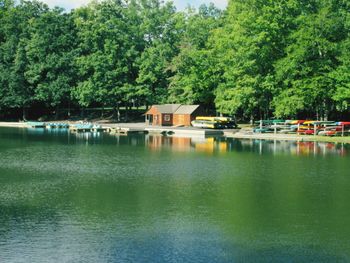 Scenic view of lake against trees