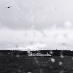 Birds flying over water against sky