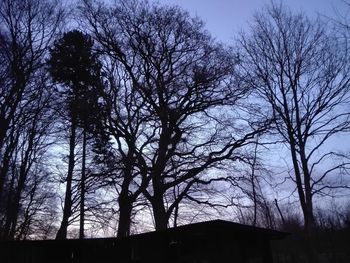 Low angle view of bare trees against sky