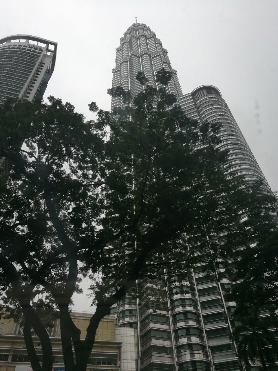 LOW ANGLE VIEW OF SKYSCRAPERS