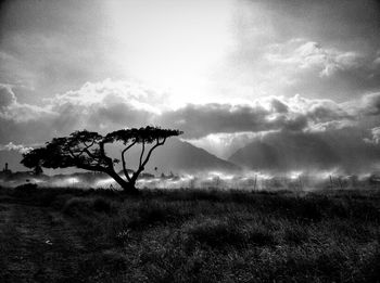 Scenic view of landscape against cloudy sky