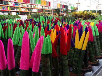 Close-up of multi colored flags hanging for sale in market