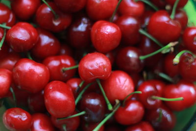 Full frame shot of tomatoes