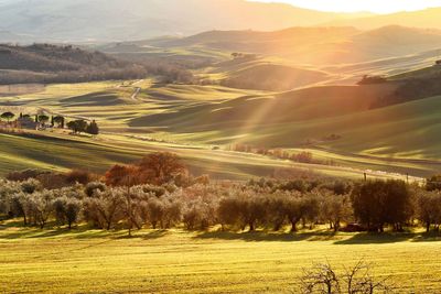 Scenic view of landscape against sky