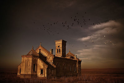 Flock of birds flying over built structure