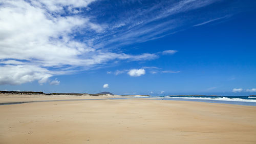 Scenic view of beach against blue sky