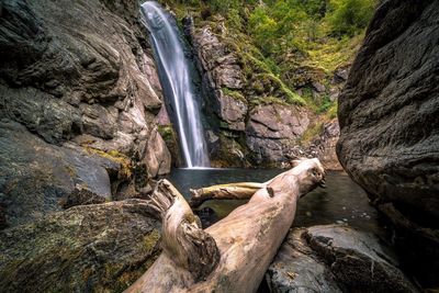 Scenic view of waterfall in forest