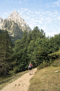 Rear view of man walking on mountain