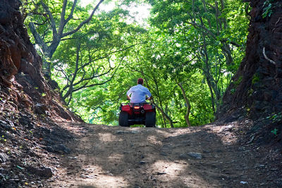 Rear view of man sitting on road in forest