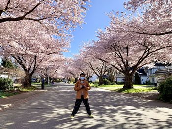 A happy boy wearing a mask and standing on street in cherry sakura blossoms in vancouver canada