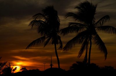 Silhouette of palm trees at sunset