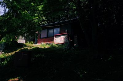 House amidst trees and plants in forest