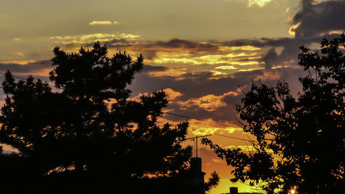 Silhouette trees against dramatic sky during sunset
