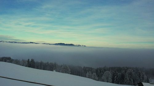 Snow covered landscape