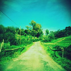 View of trees on landscape