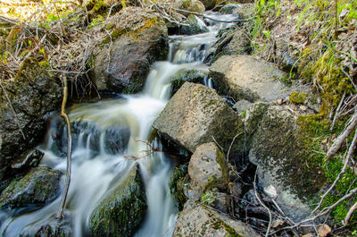 Scenic view of waterfall in forest