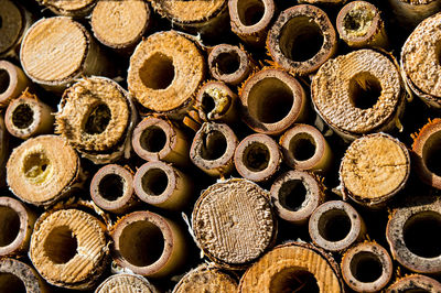 Full frame shot of logs in forest