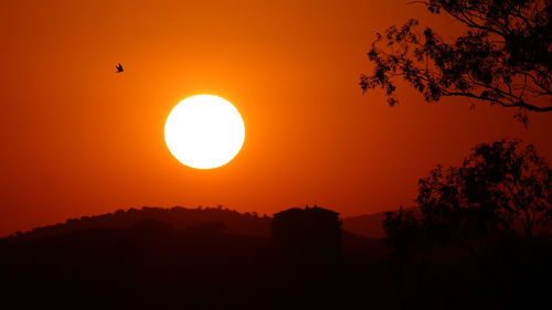 Silhouette trees against sky during sunset