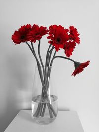 Close-up of red flowers in vase against white background