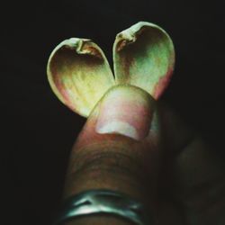 Close-up of hand over black background